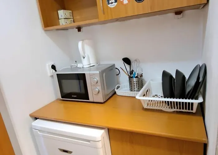 Inchiriez Garsoniera In Regim Hotelier Unirii